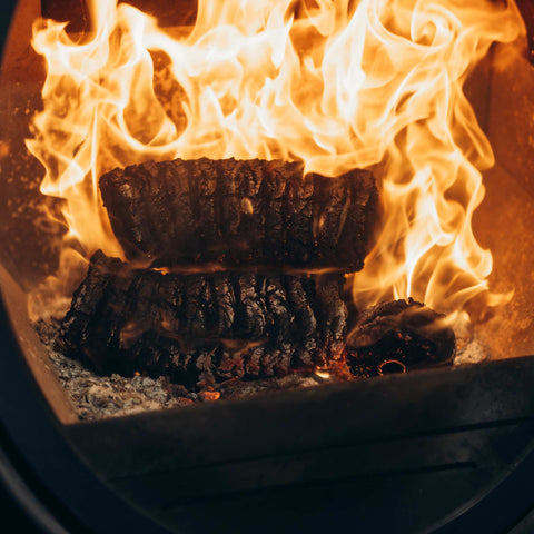 ECOFUEL_EcoBriquettes_Burning_in_Stove